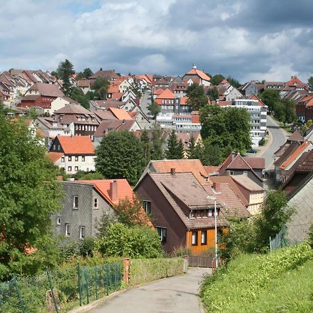 Ferienwohnung Wiesenblick Mit Terrasse Im Landhaus Fischer Sankt-Andreasberg Extérieur photo