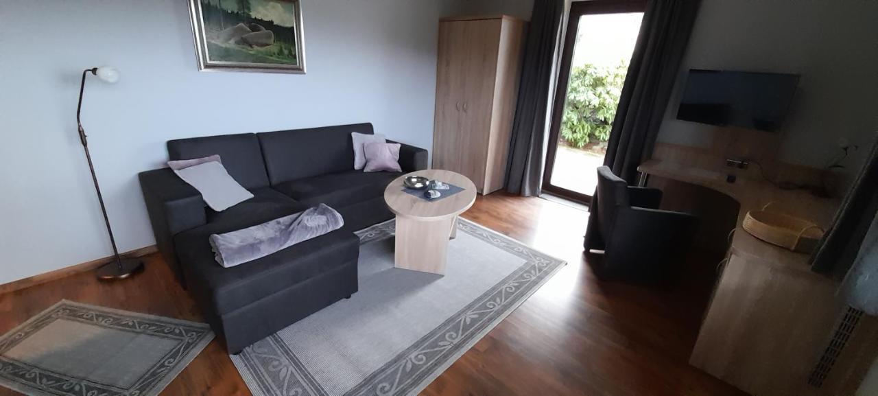 Ferienwohnung Wiesenblick Mit Terrasse Im Landhaus Fischer Sankt-Andreasberg Extérieur photo