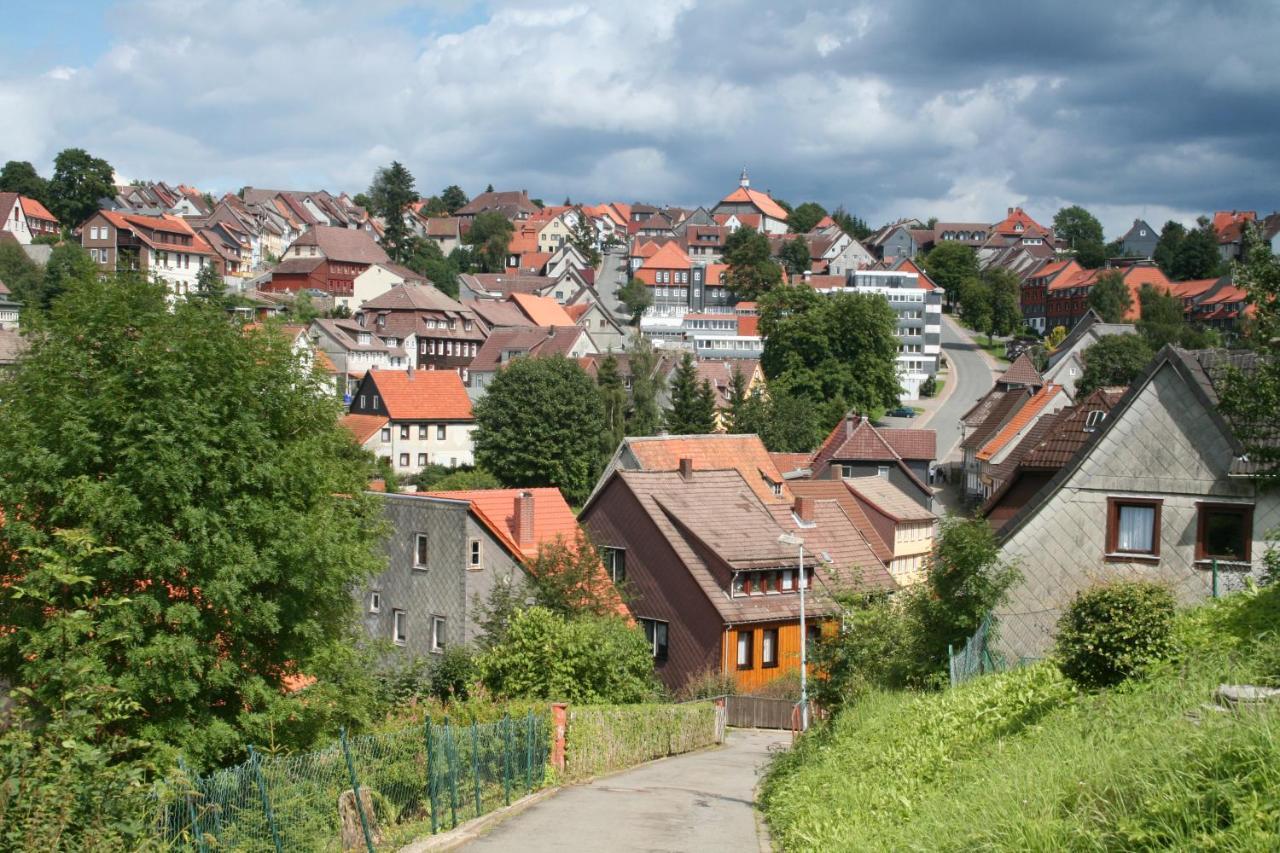 Ferienwohnung Wiesenblick Mit Terrasse Im Landhaus Fischer Sankt-Andreasberg Extérieur photo